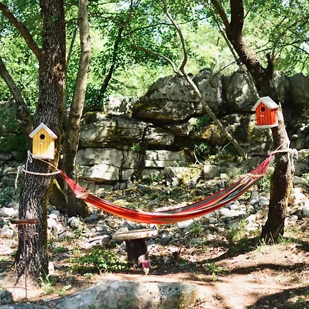 Sapat Sela Private Forest Near Podgorica